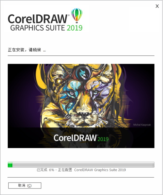 coreldraw2019ƽ