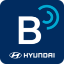blueLink 