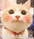 ɰèͼƬˮӡ