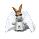 ¿