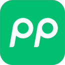 PPͣ