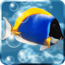 Aquarium Freeˮݶֽ̬