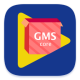 GMSװ