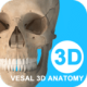 ά3D