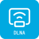 DLANͶ