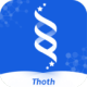 Thothٴ