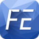 FE WORK()