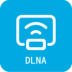 ֻdlnaͶ
