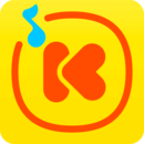 2013ֻ