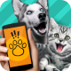 ﷭(pettranslator)