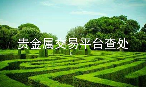 ƽ̨鴦