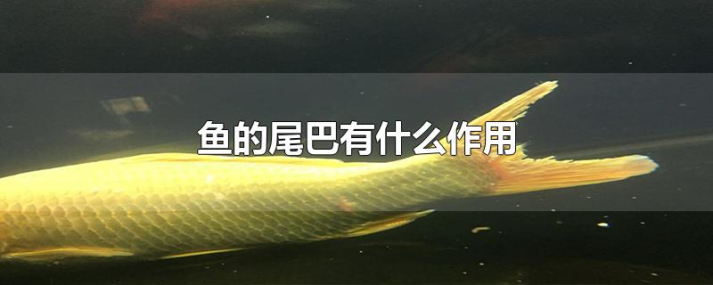 βʲô