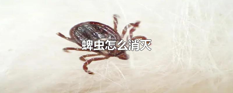 ô