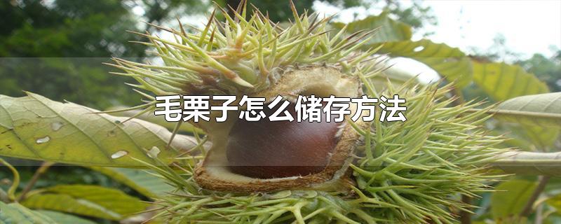 ëô淽