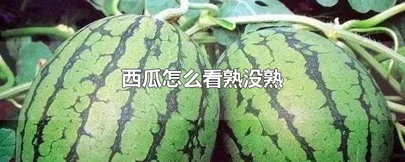 ôû