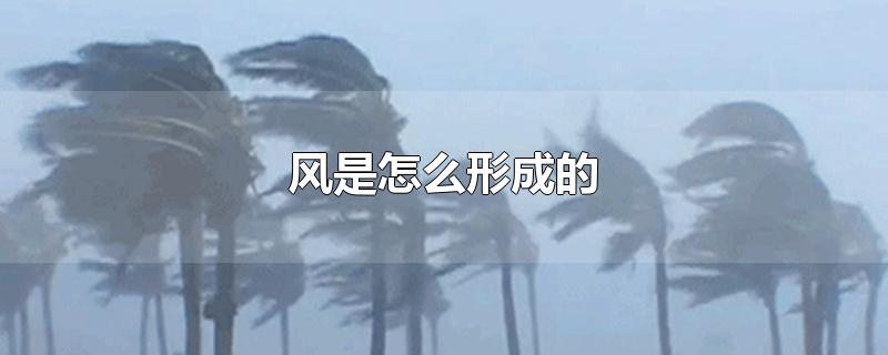 ôγɵ