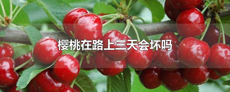 ӣ·ỵ