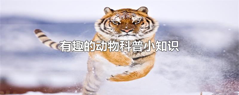 ȤĶС֪ʶ