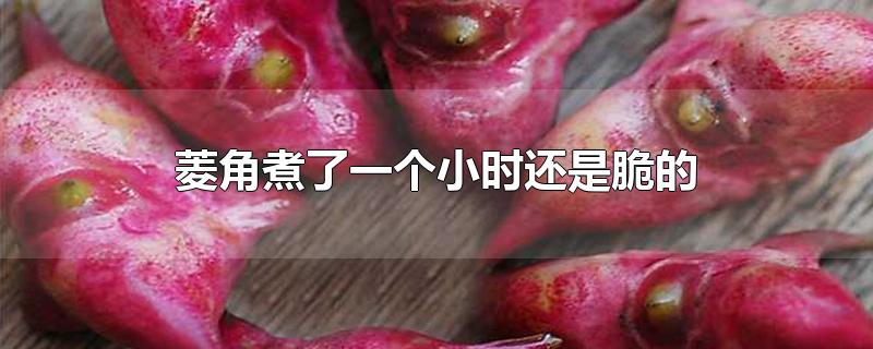 һСʱǴ
