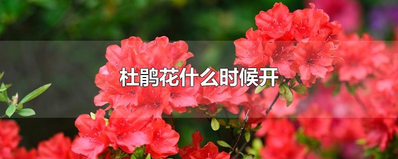 ž黨ʲôʱ