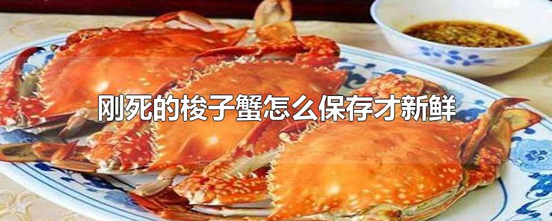 зô