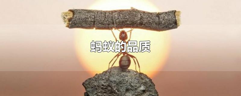 ϵƷ