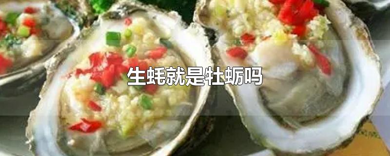 ĵ