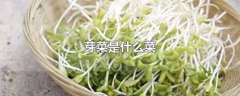 ѿʲô