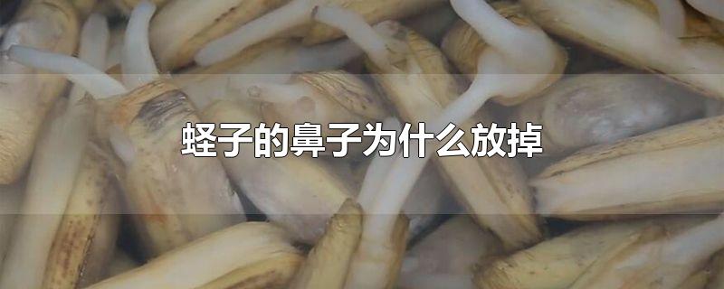 ӵıΪʲôŵ