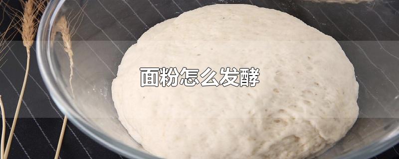 ô