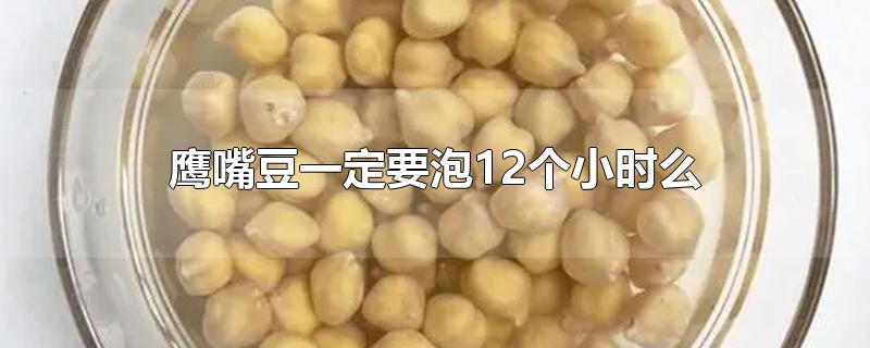 ӥ춹һҪ12Сʱô