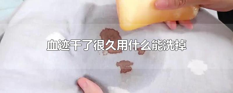 Ѫ˺ܾʲôϴ