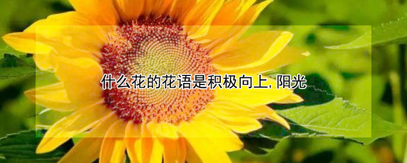 ʲôĻϵģǻϺĻǣ