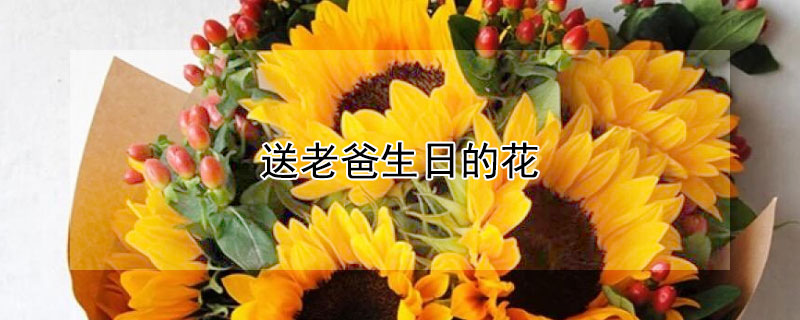 ϰյĻϰյĻЩ