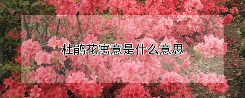 ž黨Ԣʲô˼ž黨Щ壩