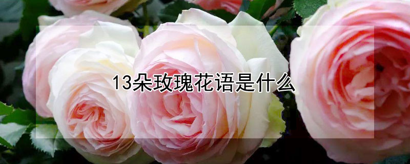 13õ廨ʲô13õЩ壩