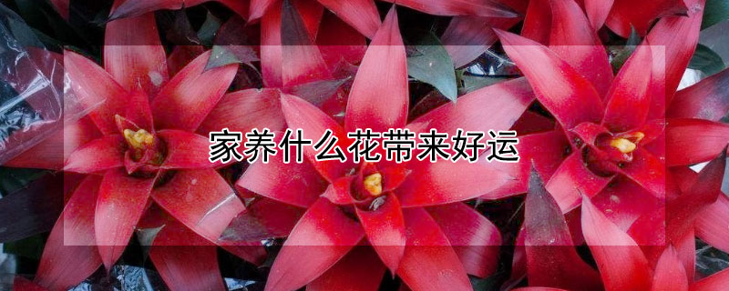 ʲôˣֳЩܴˣ