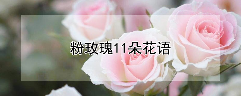 õ11仨11õʲôԢ⣩