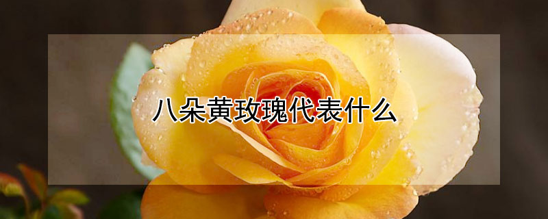 ˶õʲô˶õЩ壩