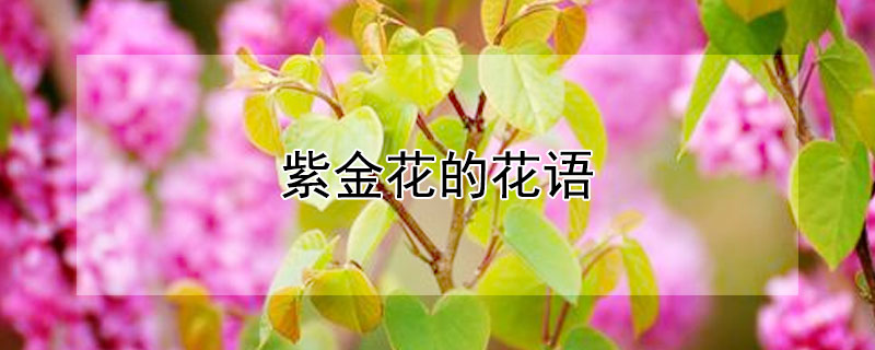 Ͻ𻨵ĻϽʲôԢ⣿