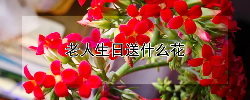 ʲôʺЩ