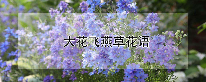 󻨷ݵĻ󻨷ʲôԢ⣩
