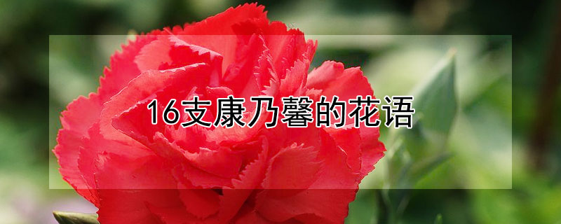 16֧ܰĻ16俵ܰʲô壩