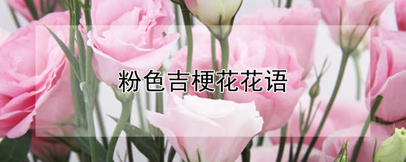 ɫ
