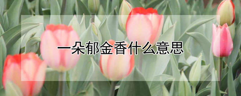 һʲô˼һĻʲô