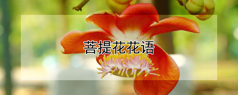 ỨĻỨʲô