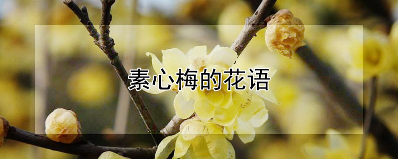 ÷Ļ÷ʲôԢ⣿
