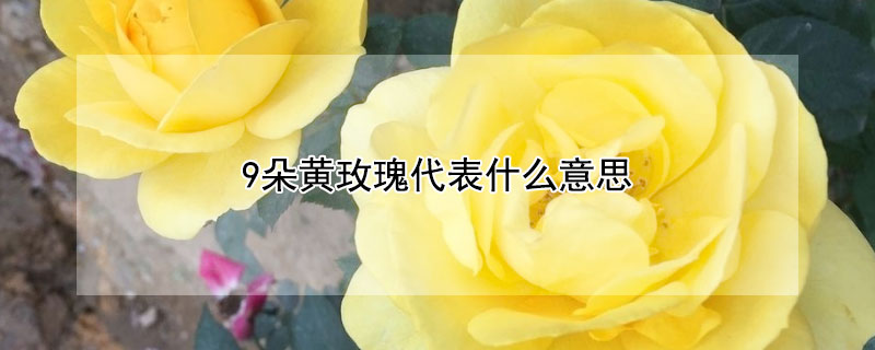 9õʲô˼9õĻ