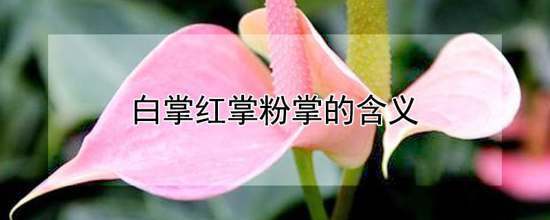 ƺƷƵĺ壨ƺƷƵĻ