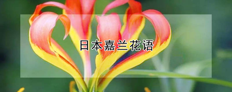 ձձʲôԢ⣩